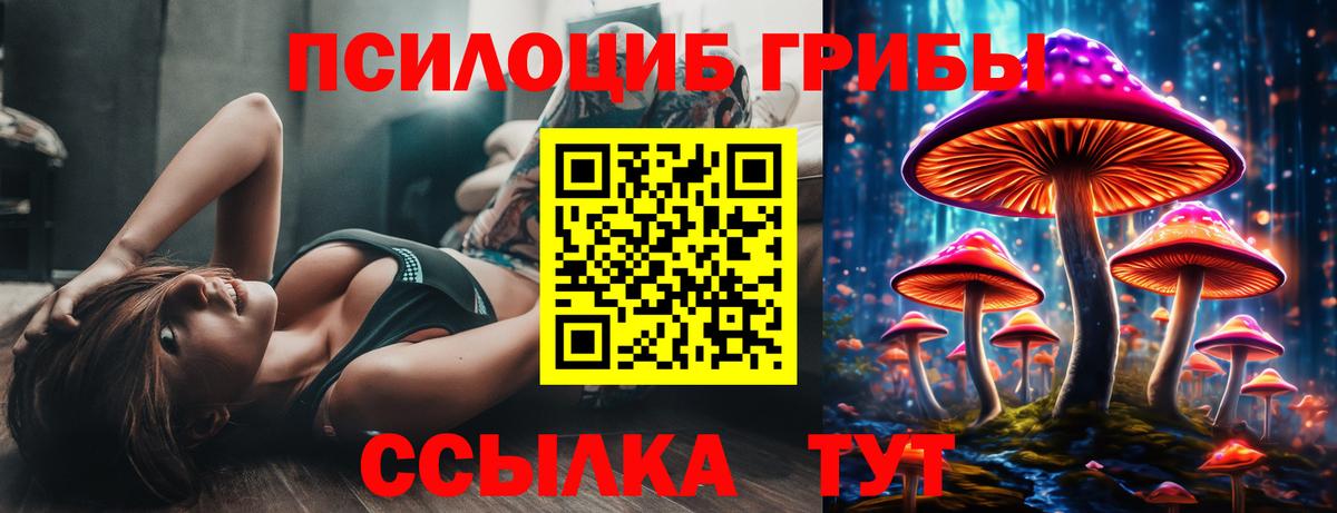 Янаул  Псилоцибиновые грибы MAGIC MUSHROOMS  Галлюциногенные грибы GOLDEN TEACHER  Вход с VPN 